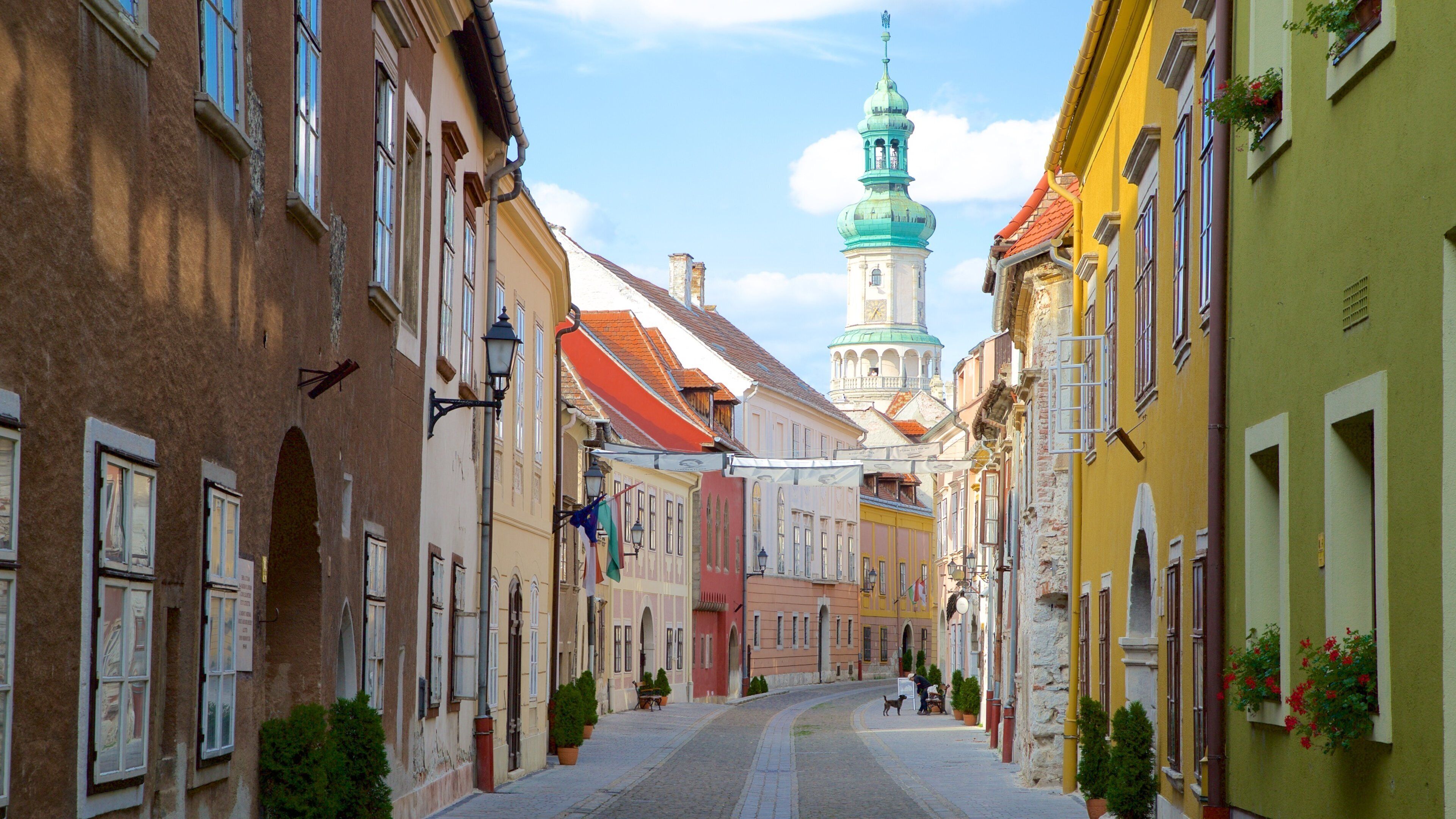 Firewatch Tower montrant scènes de rue, une ville et éléments du patrimoine