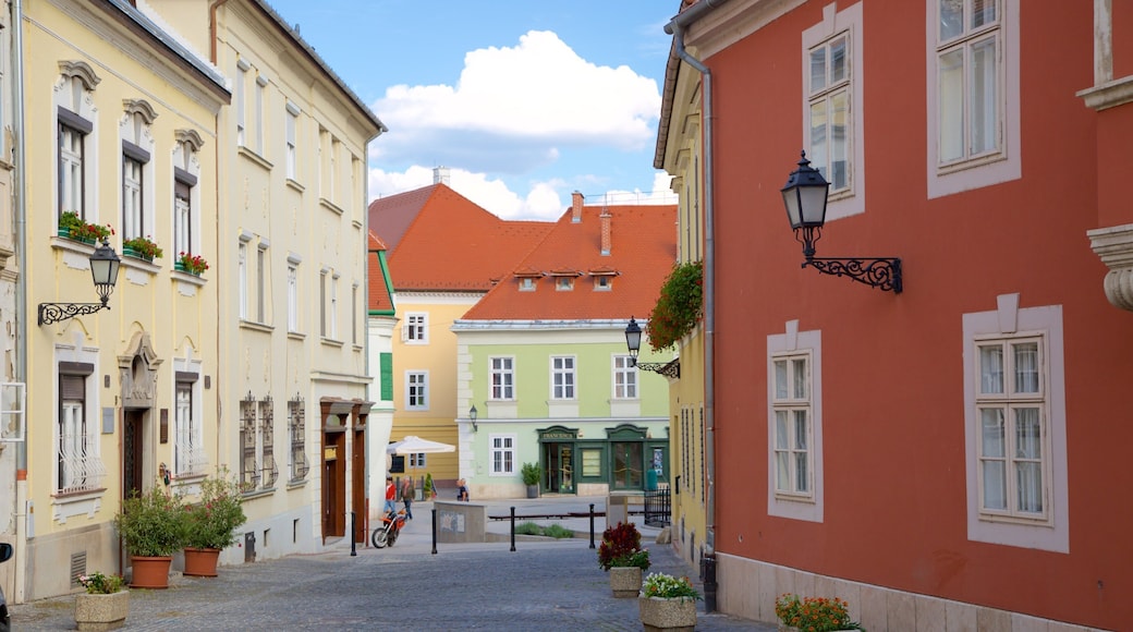 Gyor ofreciendo elementos patrimoniales y imágenes de calles