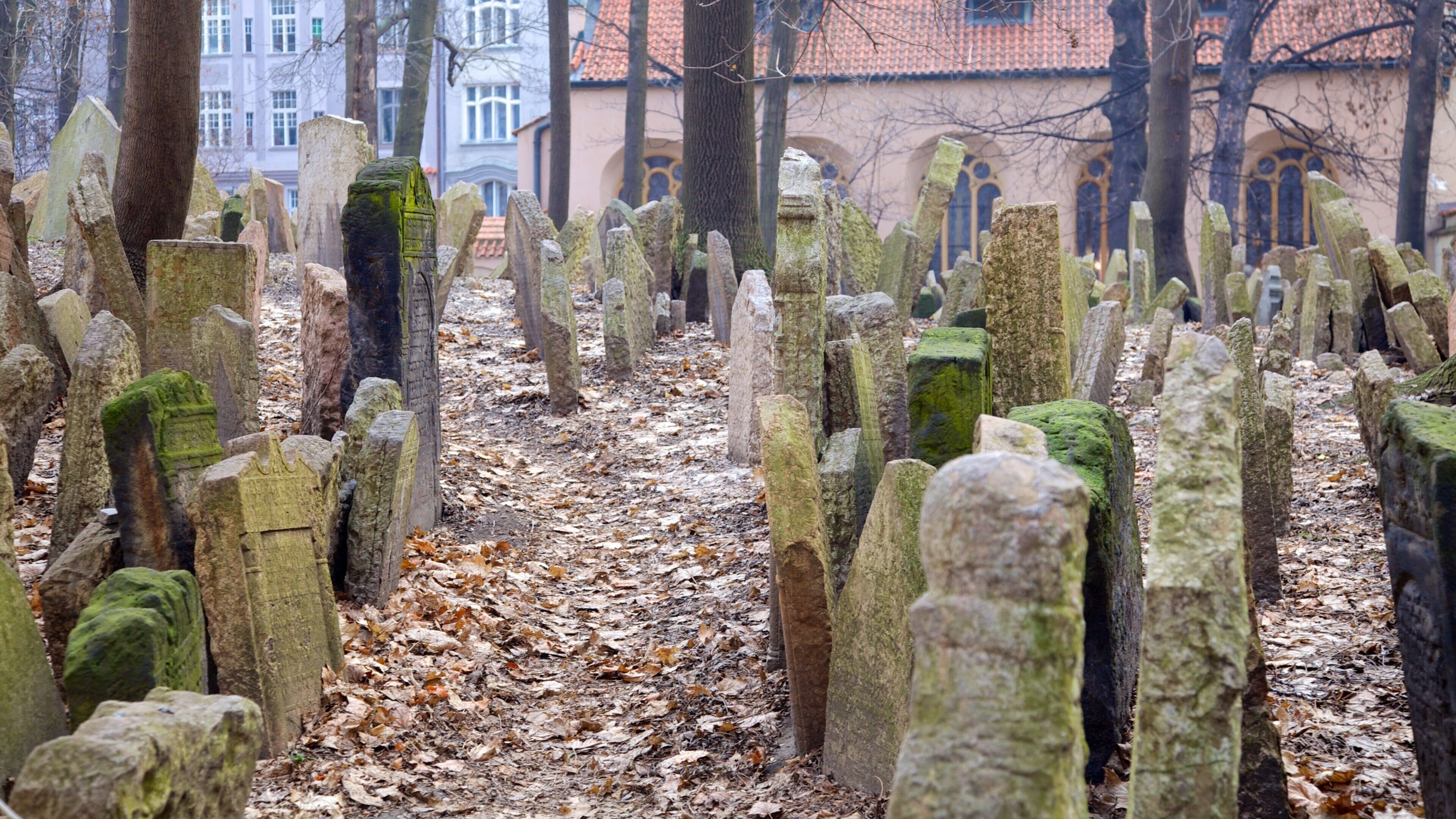 Josefov which includes a cemetery