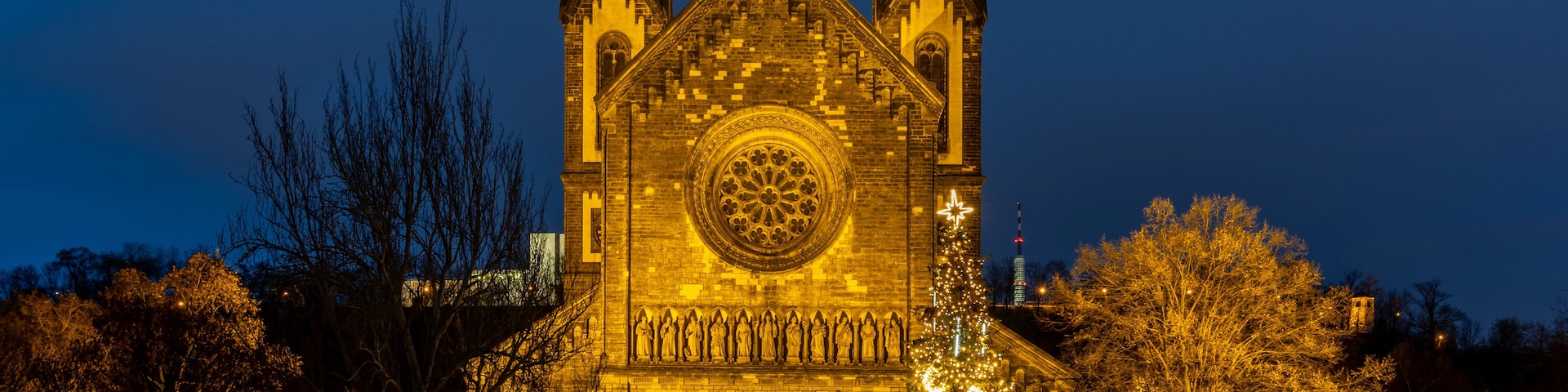 Igreja em estilo gótico com duas torres, um rosáceo grande e um pinheiro de Natal à frente.