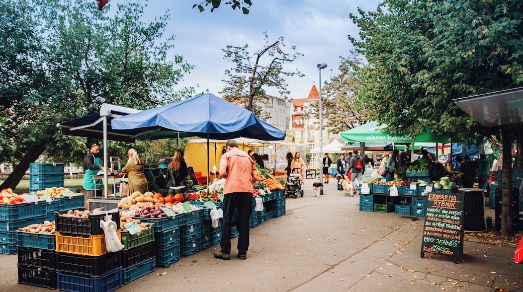 EyeEm Custom Shoots Q4 2018