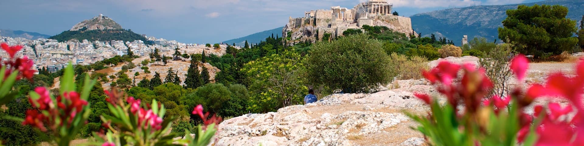 Acropolis featuring landscape views, heritage architecture and flowers