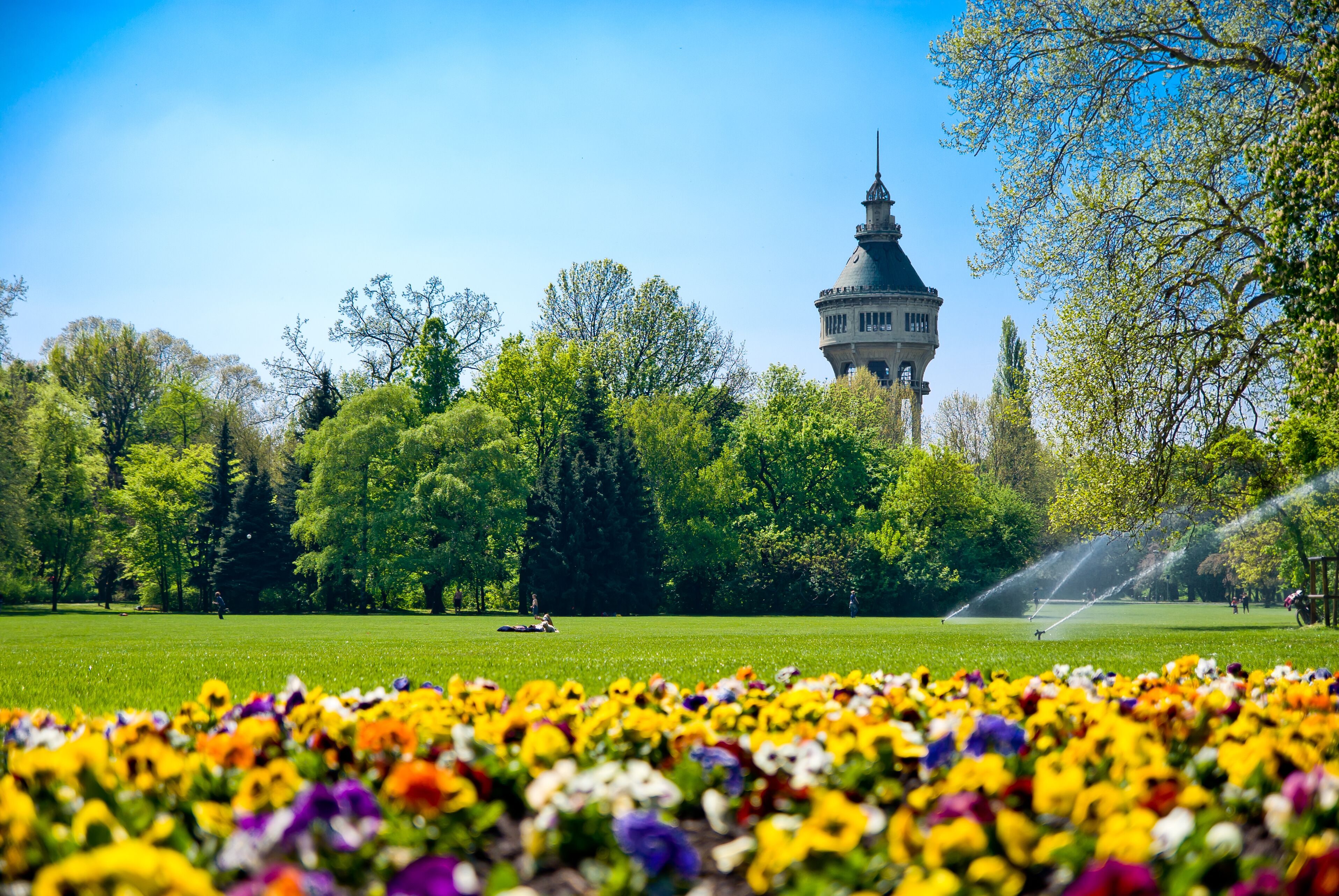 Green Park with Flowers and Tower in background