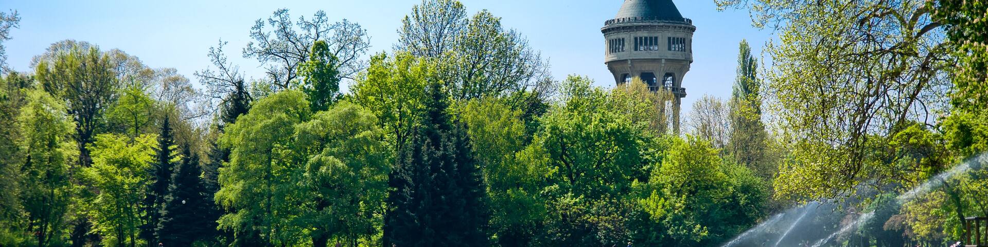 Green Park with Flowers and Tower in background