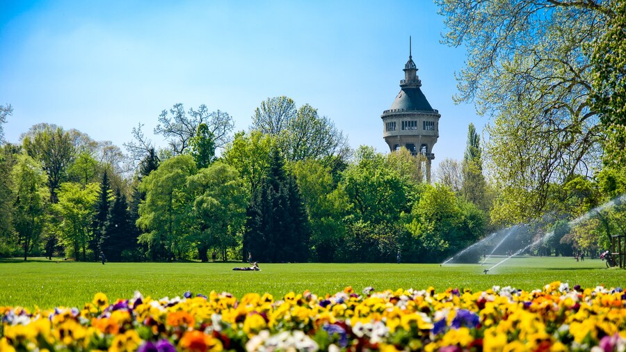 Green Park with Flowers and Tower in background