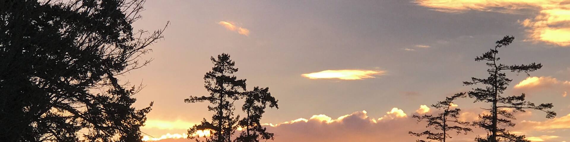 Bayview, on Padilla Bay is East of Anacortes. Bayview has a state park, an interpretive center, and a scenic nature trail with good opportunities to see wildlife. It’s about 90 minutes north of Seattle, and 90 minutes south of Vancouver, BC. #offthebeatentrack #SkagitValley