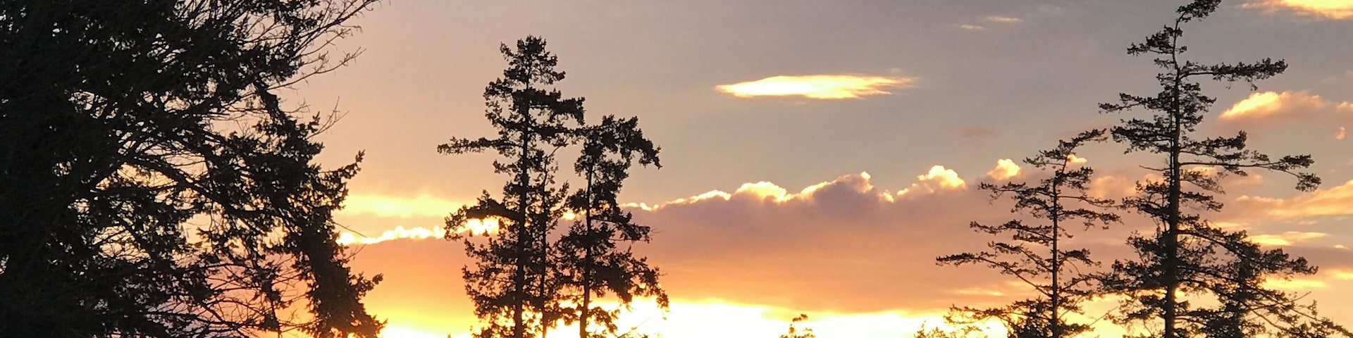 Bayview, on Padilla Bay is East of Anacortes. Bayview has a state park, an interpretive center, and a scenic nature trail with good opportunities to see wildlife. It’s about 90 minutes north of Seattle, and 90 minutes south of Vancouver, BC. #offthebeatentrack #SkagitValley