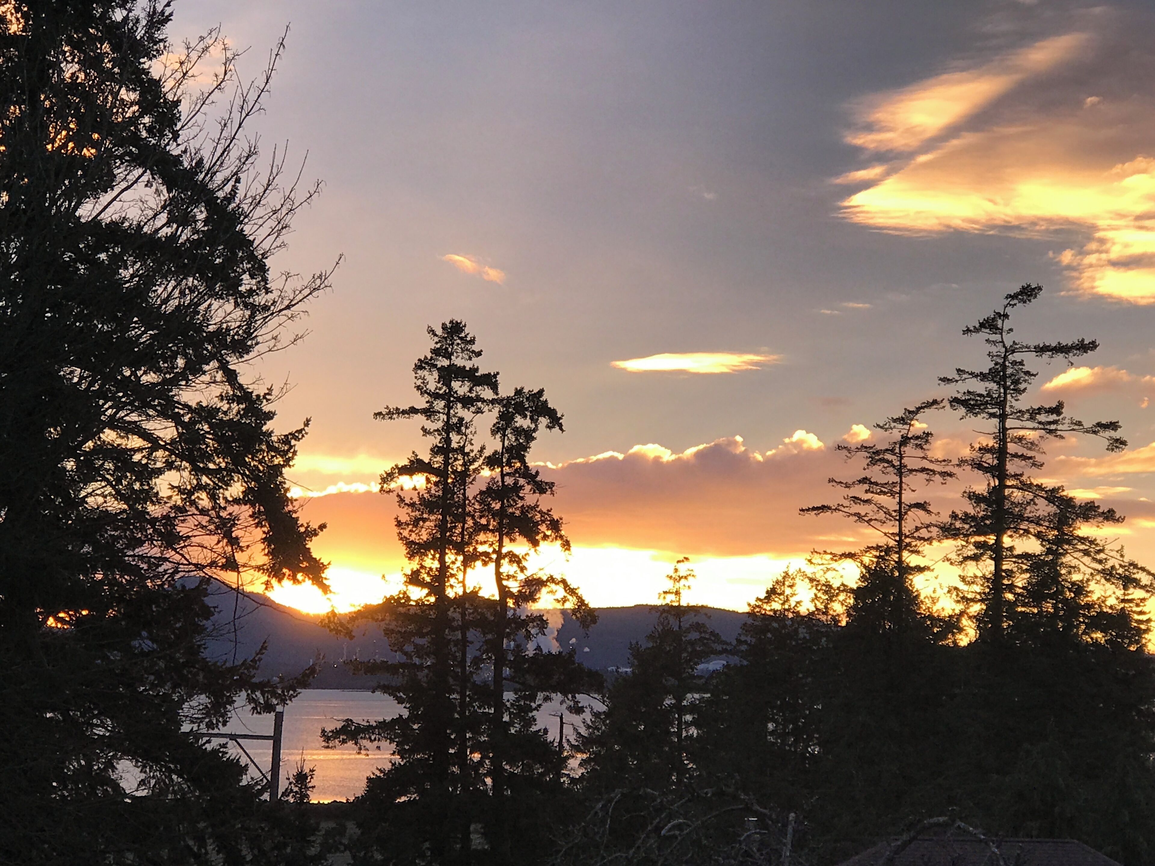 A sunset over a forest with tall trees and a body of water in the foreground.
