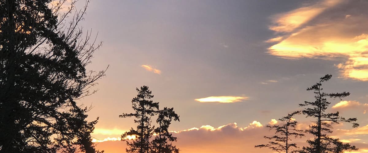 A sunset over a forest with tall trees and a body of water in the foreground.