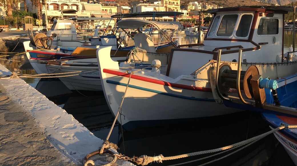 Early morning, so quite...