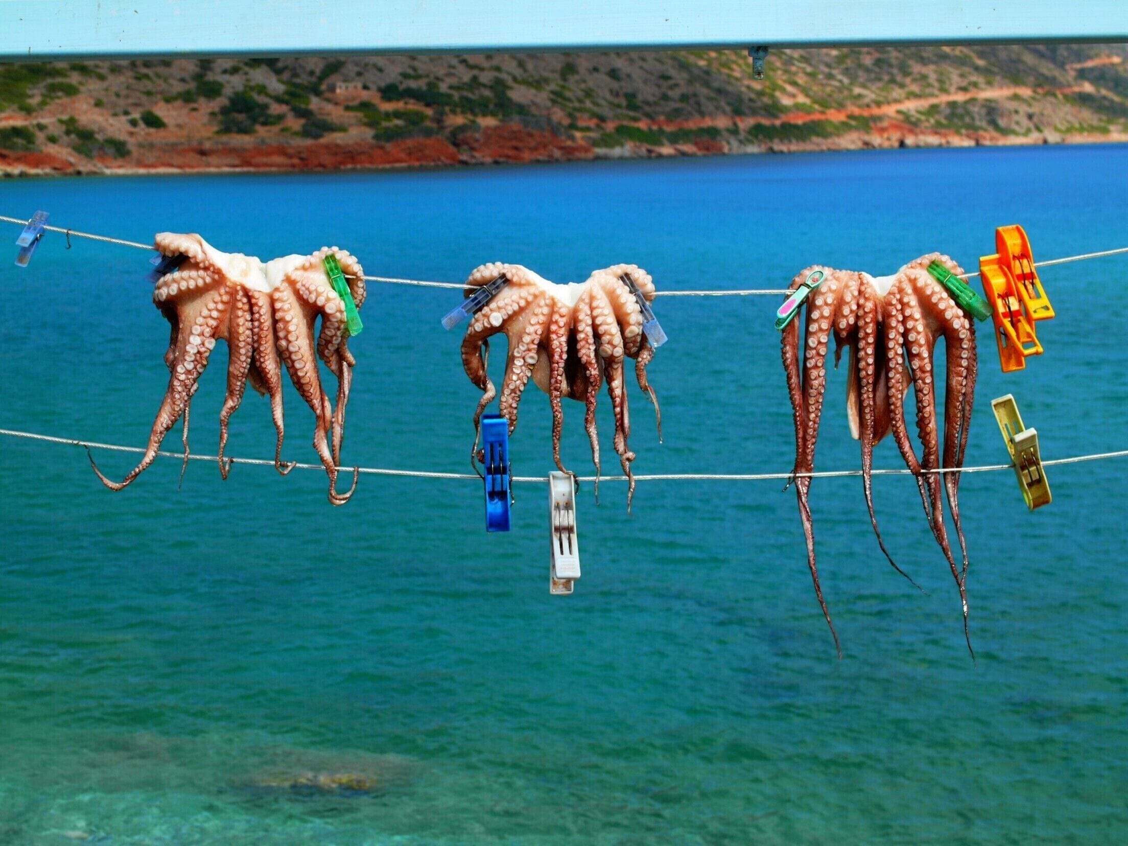 #LifeatExpedia #beaches 

Discovered this quaint fishing village, Plaka, on Crete Greece. Relaxing atmosphere with nice beach and great seafood.