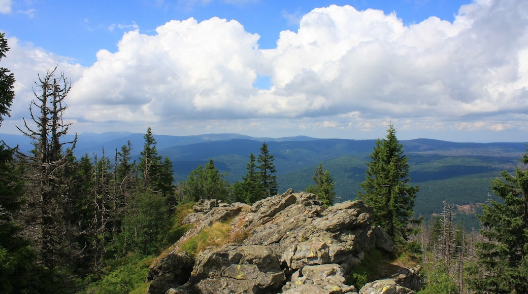 Rachel, Bavarian Forest Nationalpark.