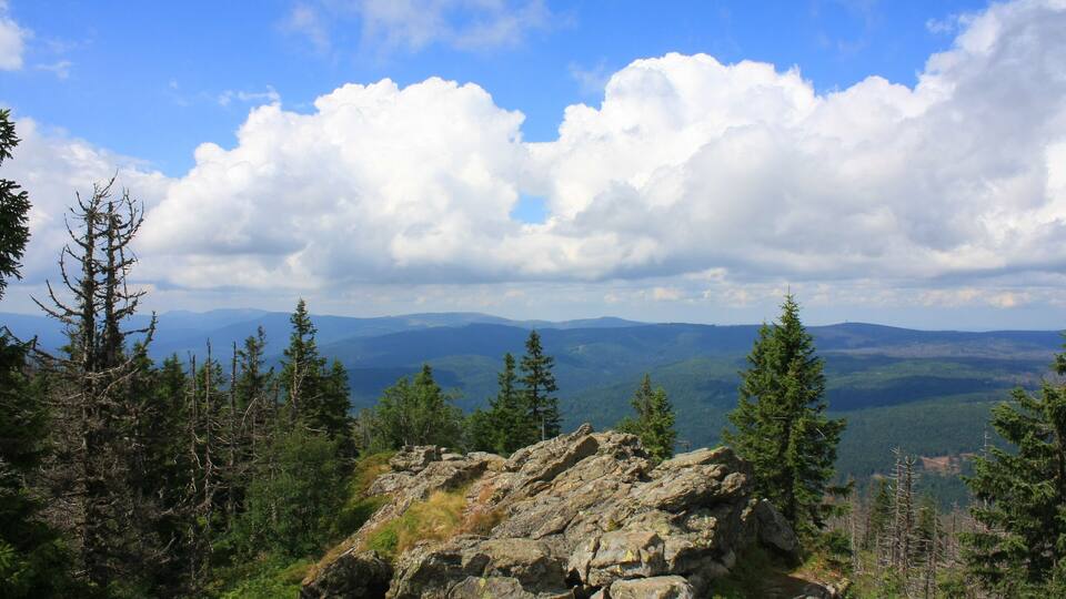 A mountainous landscape with rocky terrain, dense evergreen trees, and a clear blue sky with fluffy clouds.