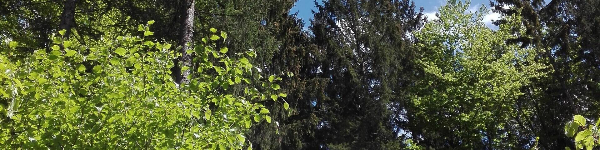 Wonderfull place for natural photography