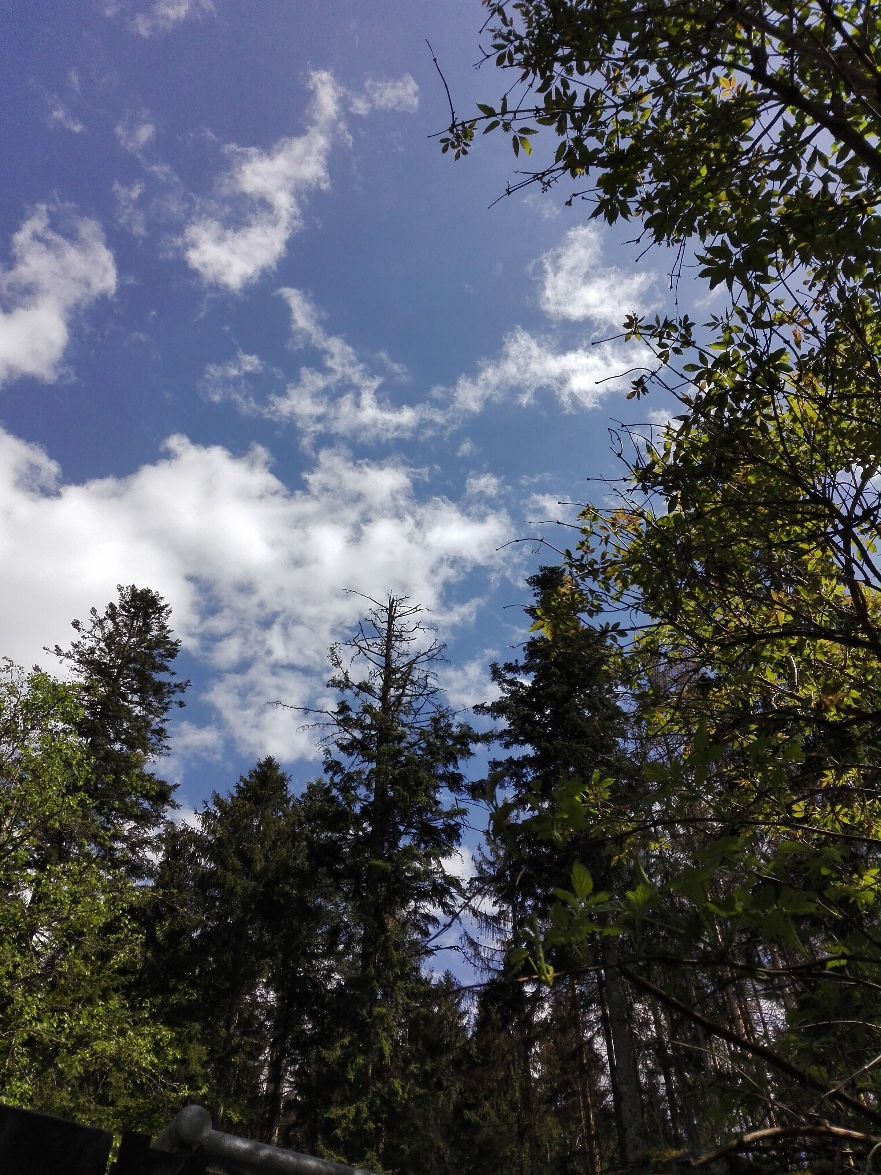 Wonderfull place for natural photography