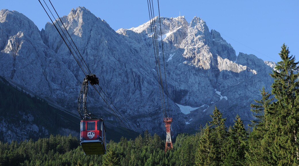 Zugspitze featuring forest scenes, mountains and a gondola