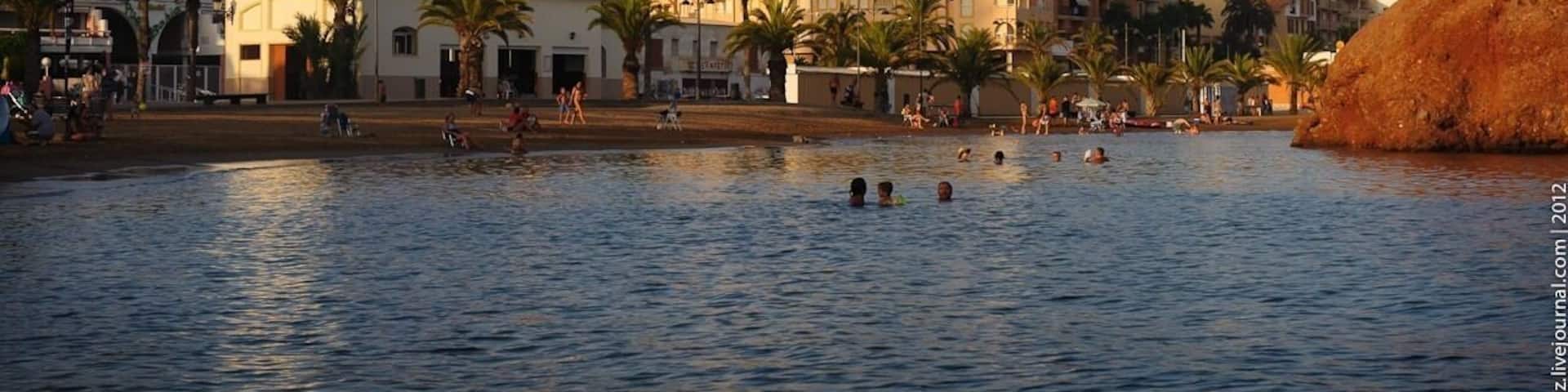 A waterfront with buildings, palm trees, and people swimming.