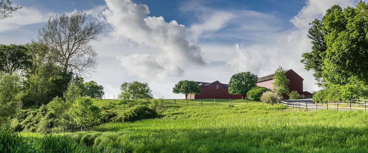 A rural landscape with a river, green fields, and red barns.