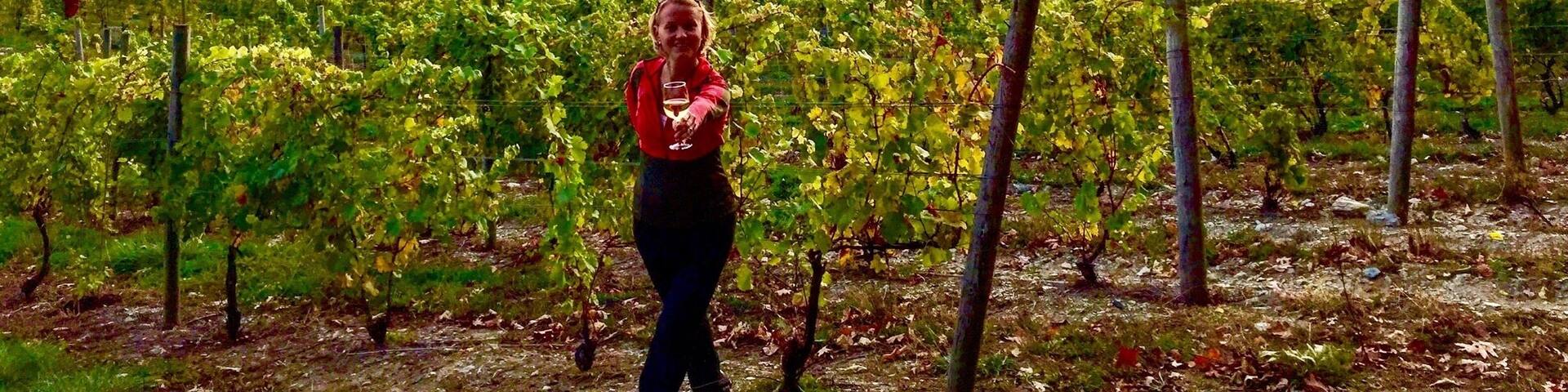 Really pretty Winery to visit! You can sit on the porch outside or at the picnic tables by the pond with the view of the vineyards. Especially vibrant in the fall!