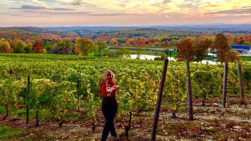 Really pretty Winery to visit! You can sit on the porch outside or at the picnic tables by the pond with the view of the vineyards. Especially vibrant in the fall!