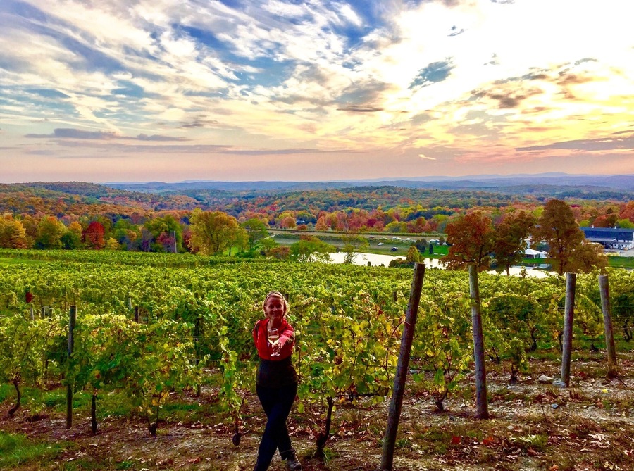 Really pretty Winery to visit! You can sit on the porch outside or at the picnic tables by the pond with the view of the vineyards. Especially vibrant in the fall!
