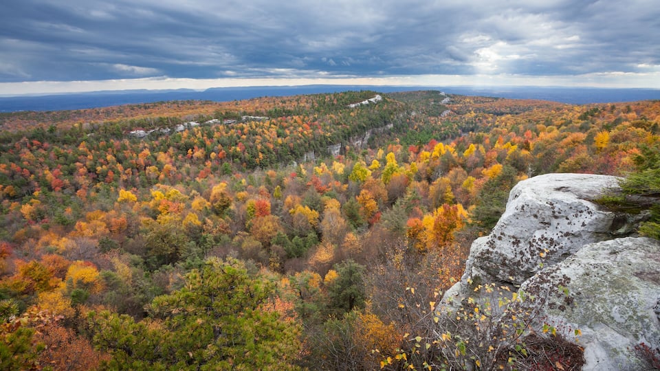 A forested landscape with autumn foliage, rocky outcrops, and distant mountains under a cloudy sky.
