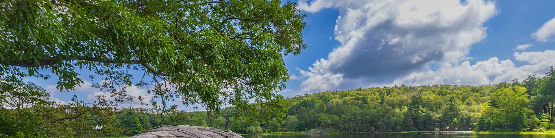 A rocky shoreline with a lake, surrounded by lush greenery and trees.