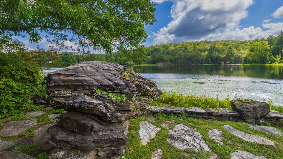 A rocky shoreline with a lake, surrounded by lush greenery and trees.