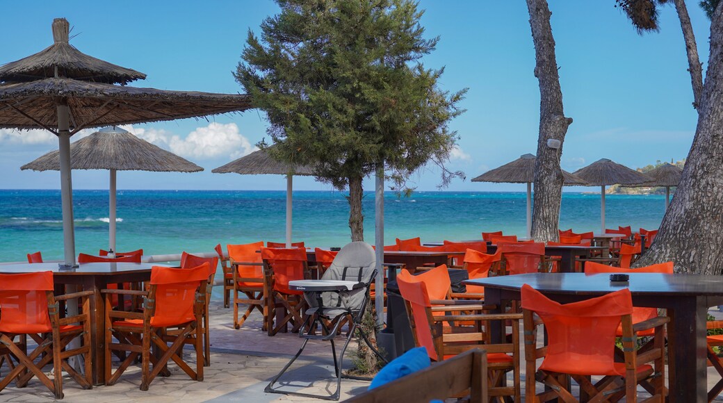 bar and restaurant terrace with seaview in Argassi