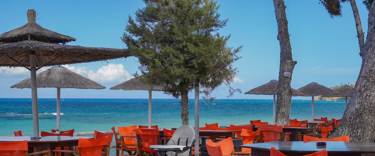 A beachside café with wooden tables and orange chairs, thatched umbrellas, and a view of the ocean.