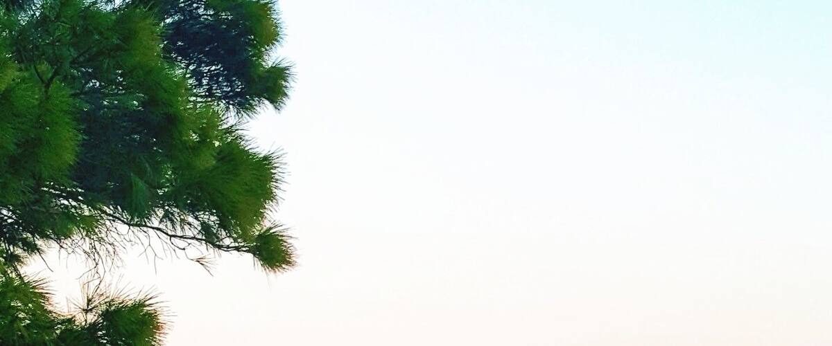 This is Bochali, the most beautiful spot in Zante Town which offers majestic views of the Ionian Sea.