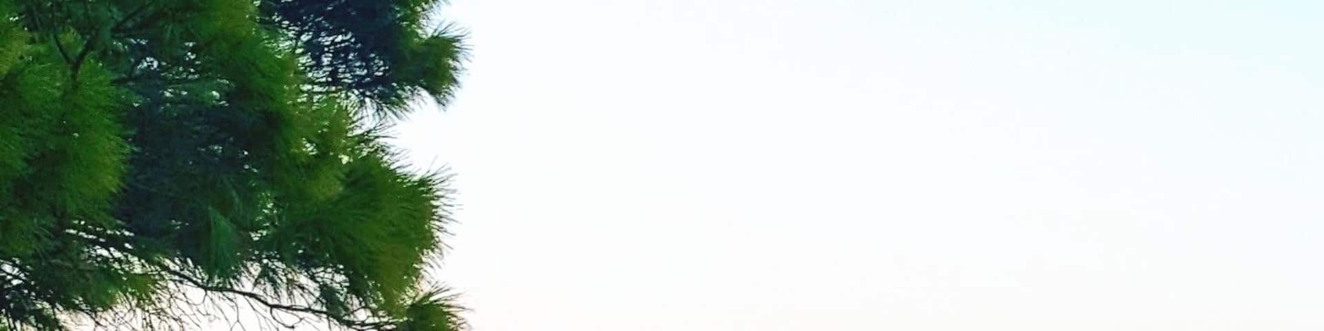 This is Bochali, the most beautiful spot in Zante Town which offers majestic views of the Ionian Sea.