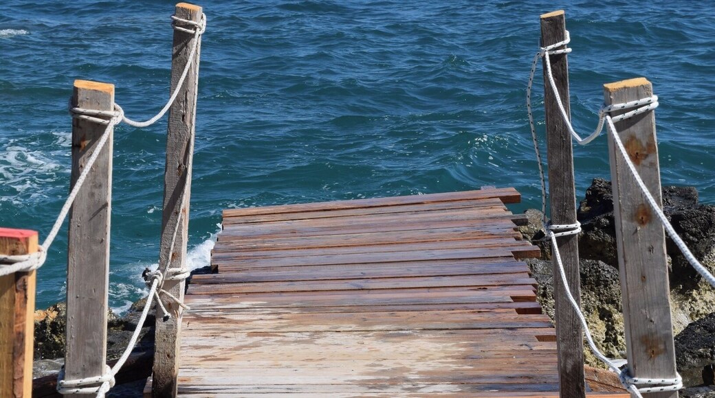 An small island in Zakynthos, Greece. There is one bar by the beach and one restaurante up the hill with a nice view.
#waterlust