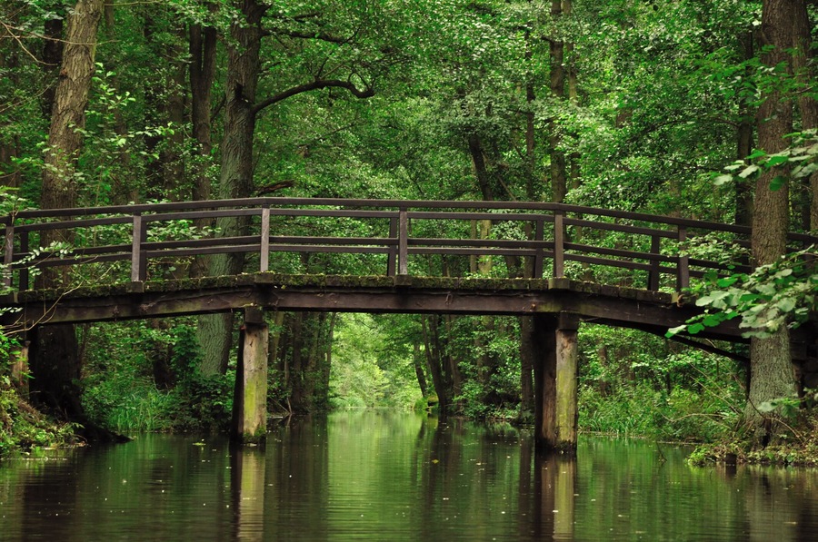 Spreewald bridge, Lubbenau, Brandenburg, Germany.