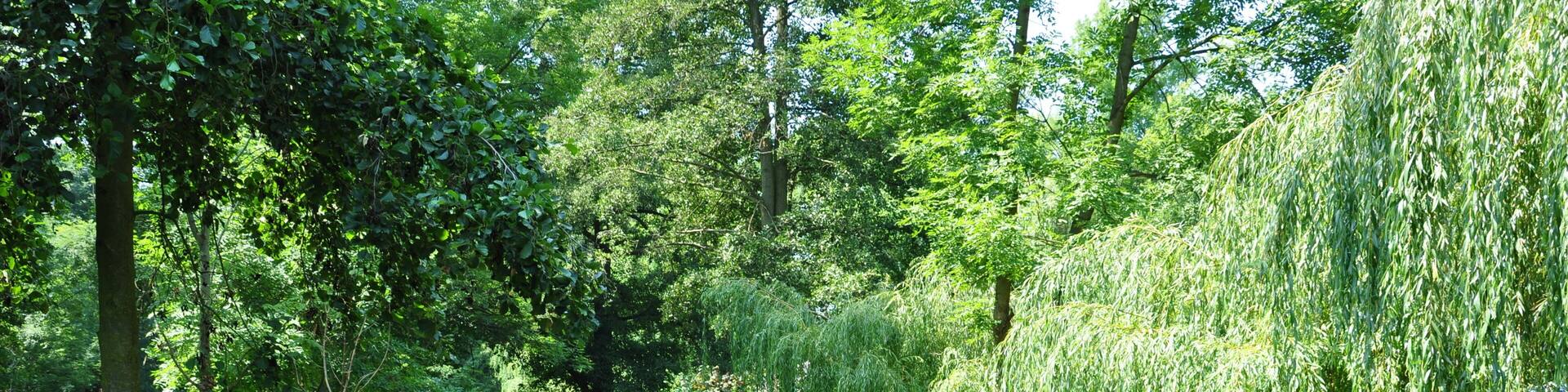 Kahnfahrt im Spreewald
