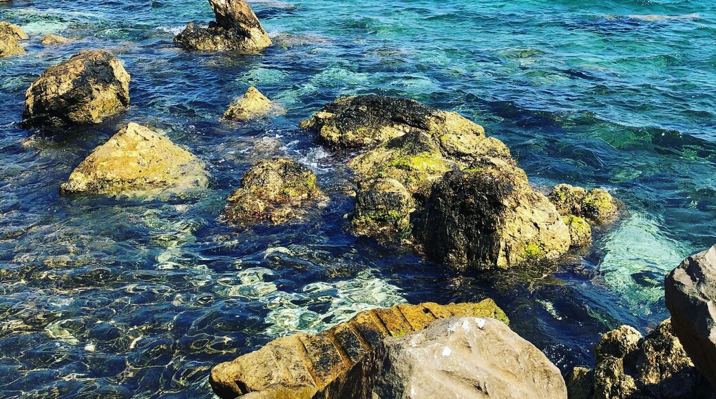 Paros Island, Greece 🇬🇷 clear water everywhere