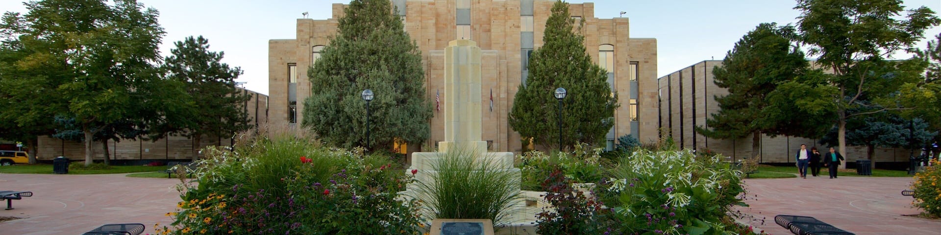 Boulder showing wild flowers and a square or plaza