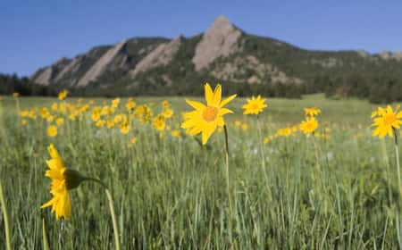 Top 10 Hotels in Boulder, CO from $60 - Compare prices by date ...
