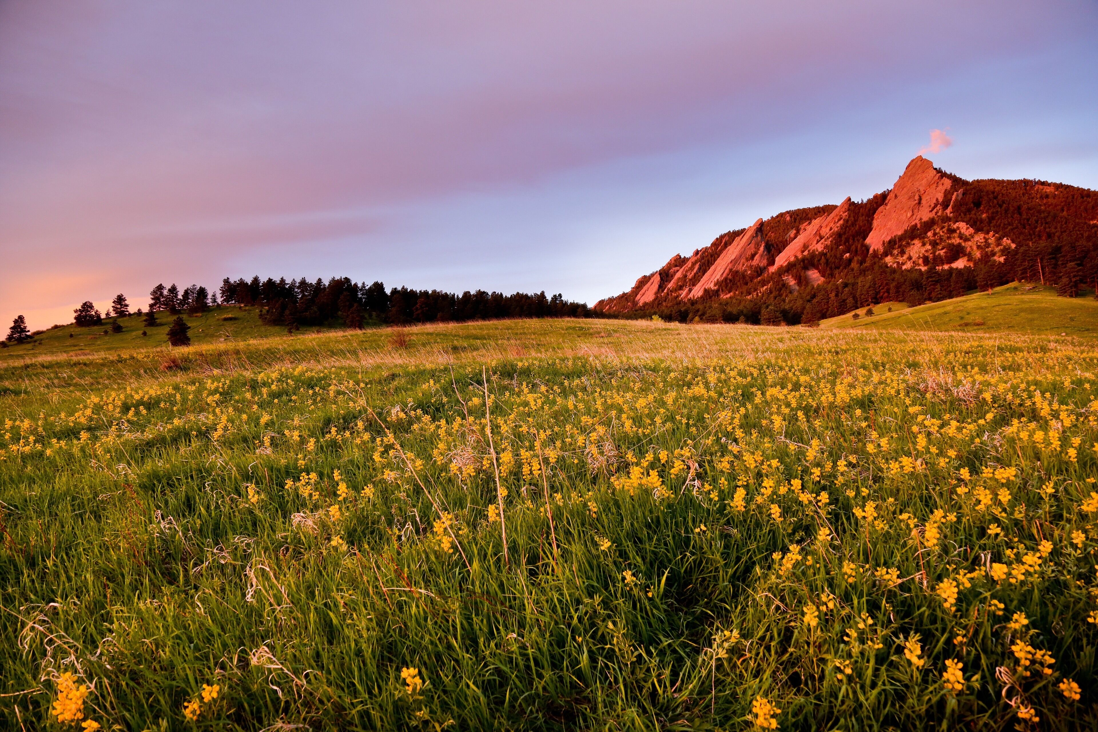 Living in Boulder was a treat. I recently moved but I will never forget the wildflowers in spring and the way the flatirons set on fire at sunrise. 
#adventure #colorado #sunrise