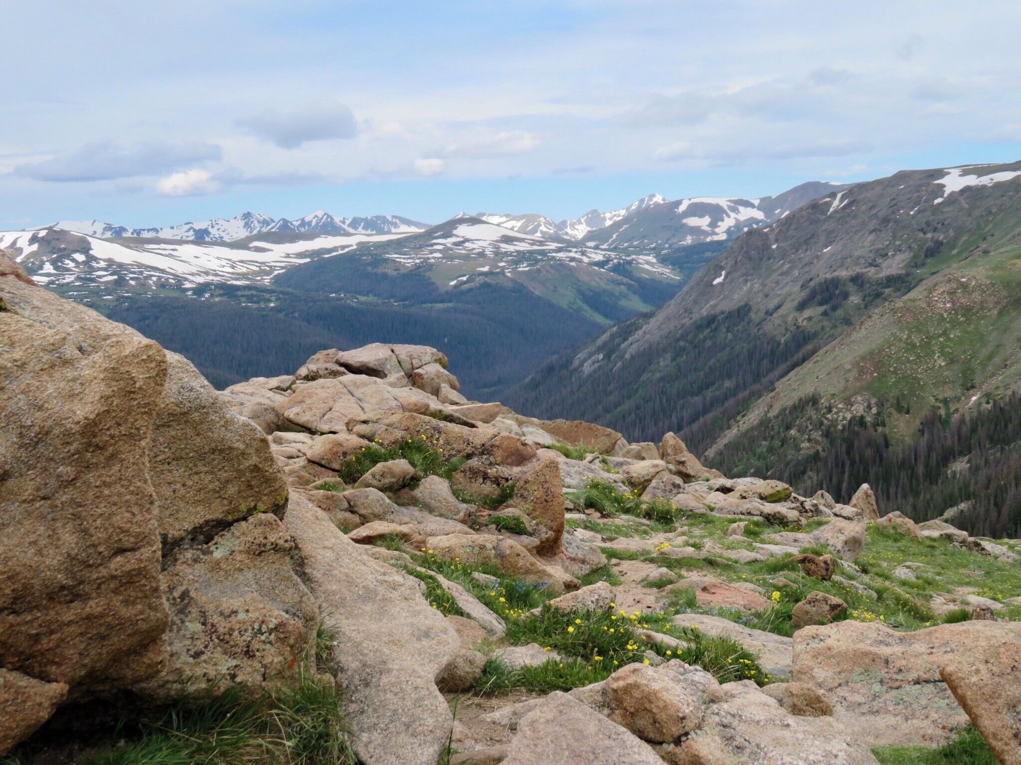 A beautiful view driving up Trail Ridge Road @ Forest Canyon Overlook @ 11,320 ft elevation