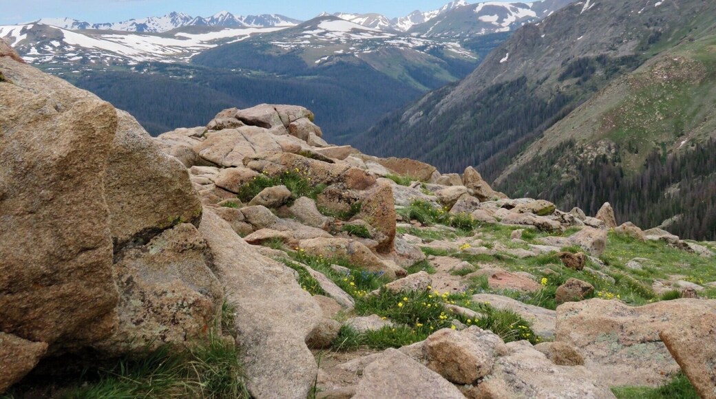 A beautiful view driving up Trail Ridge Road @ Forest Canyon Overlook @ 11,320 ft elevation