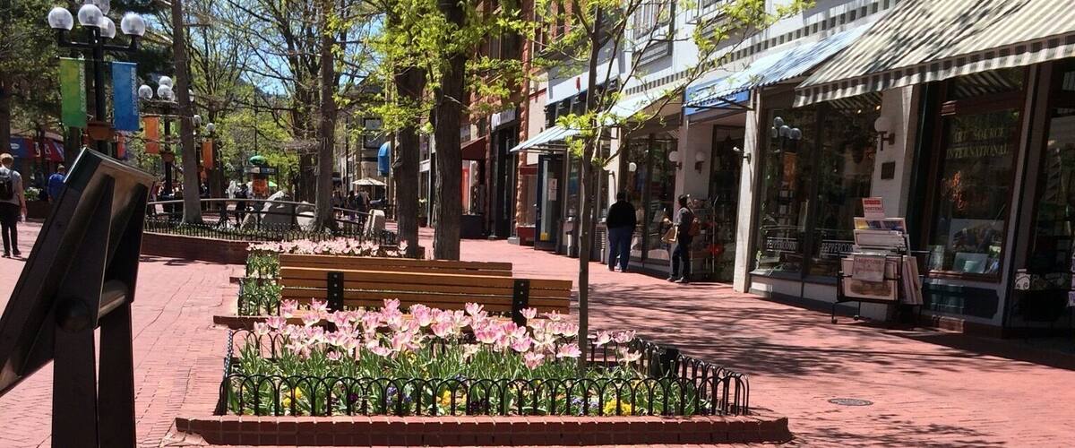 Some flowers in Boulder. A nice town to stop and have a stroll.