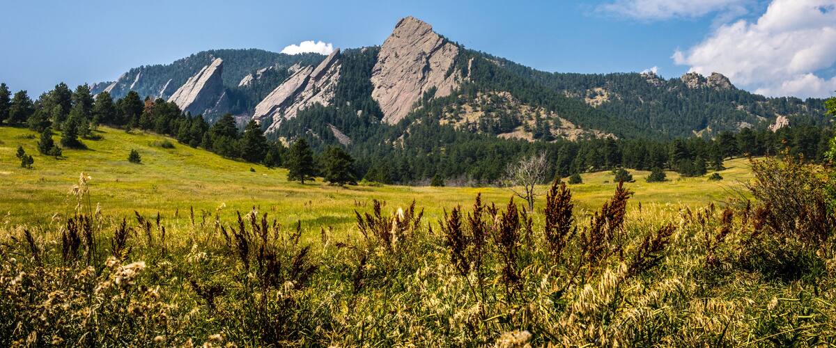 A mountain range with a prominent rocky peak, a grassy meadow in the foreground, and a clear blue sky.