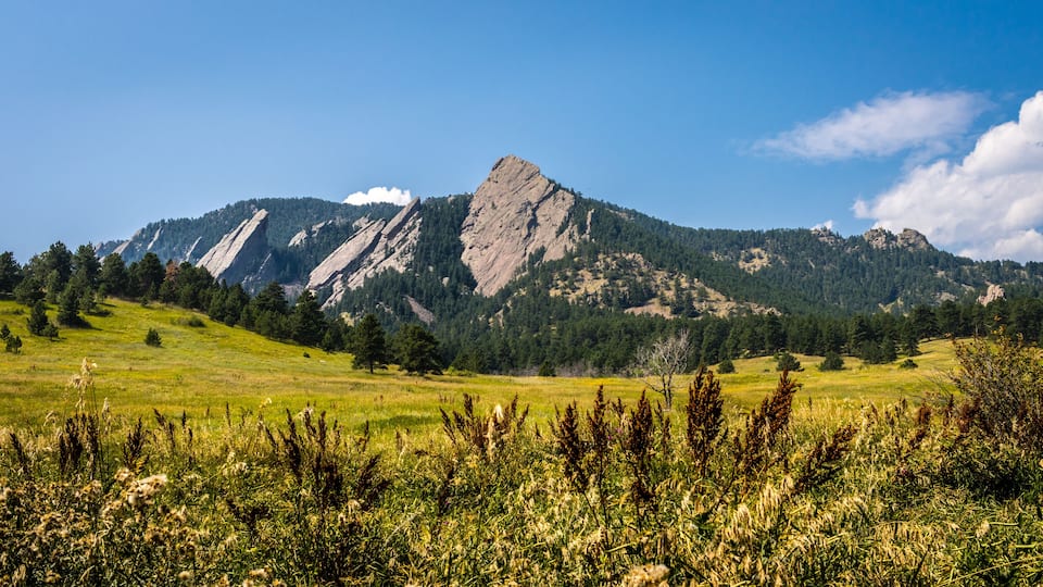 A mountain range with a prominent rocky peak, a grassy meadow in the foreground, and a clear blue sky.