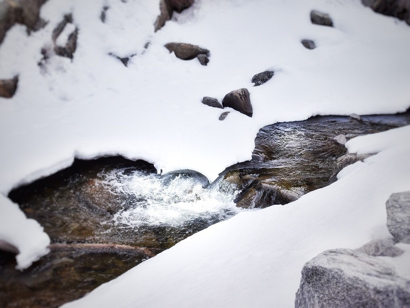 Beautiful river still covered in snow in Boulder Canyon. Awesome spot for some rock climbing and good views.