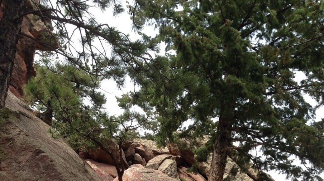 The rocky trail reaches all the way to the top of the flatirons