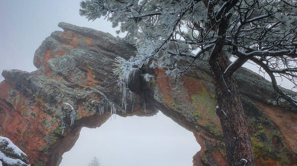 The #RoyalArch is one of my favorite hikes in #BoulderColorado 🏔 I especially like the mornings in the winter, every time I #adventure up there in the winter, I have the area to myself! This day was special, the light covered snowy areas mixed with the fog made for a great picture!