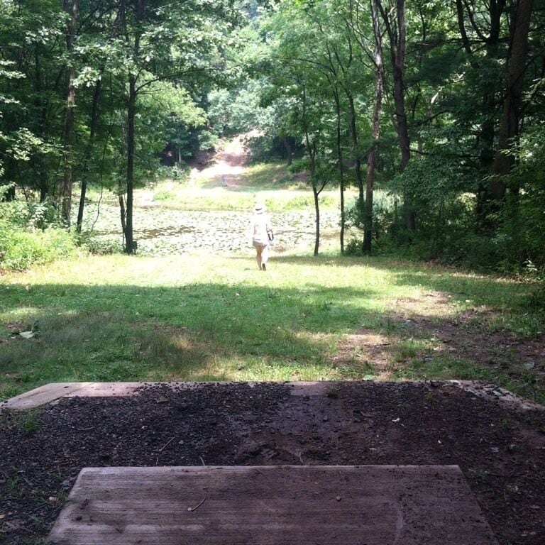 Hole 15 at Deer Lakes Park. Par 3 over a lily pad covered pond.  #discgolf #nature #frolf #water #pond 