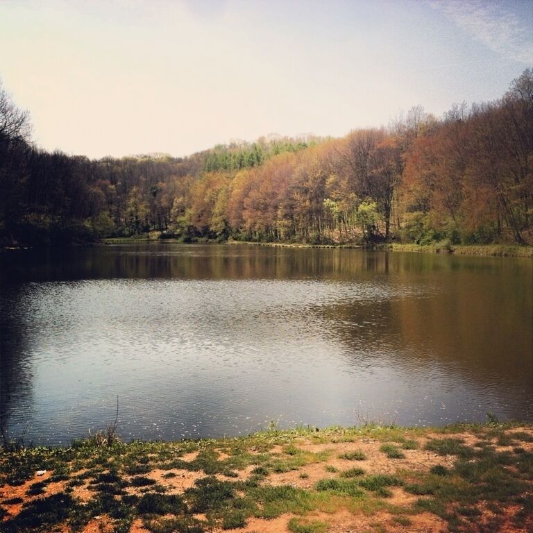 Deer Lakes Park Spring 2012. #nature #discgolf #frolf #autumn