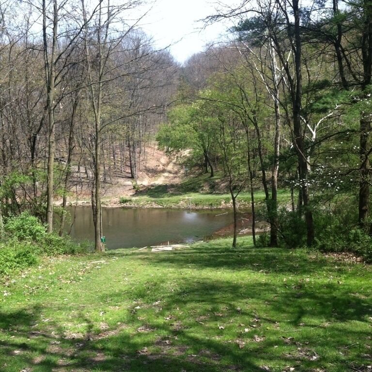 Deer Lakes Park Spring 2012, hole 15. #nature #discgolf #frolf #autumn